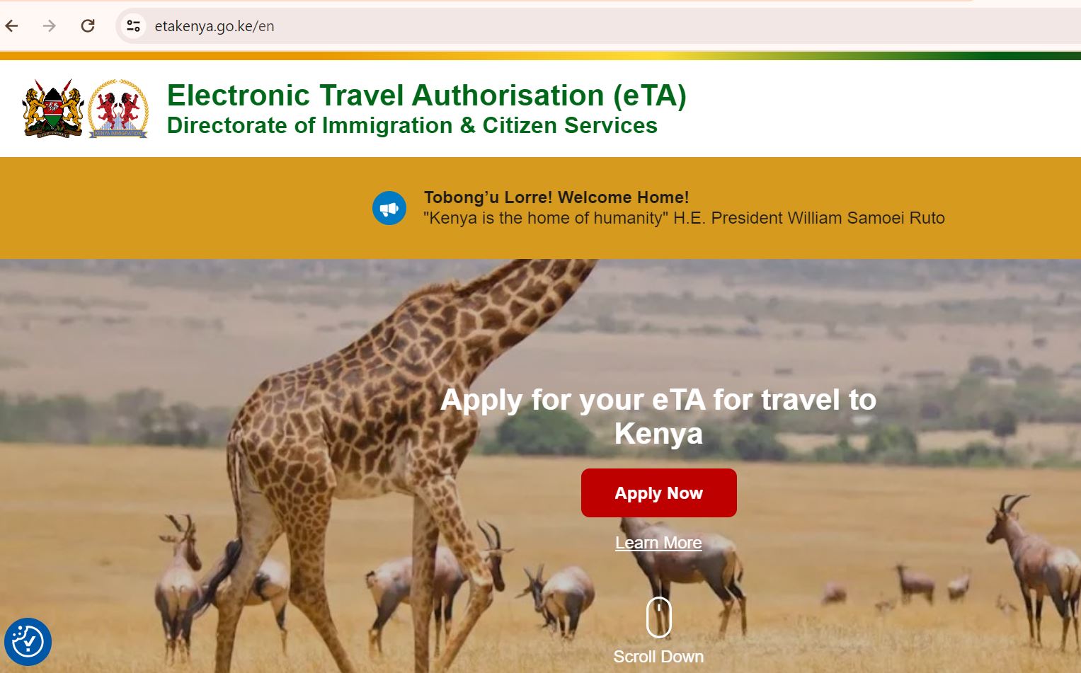 Apply visa for your Kenya Safari Holiday from UK